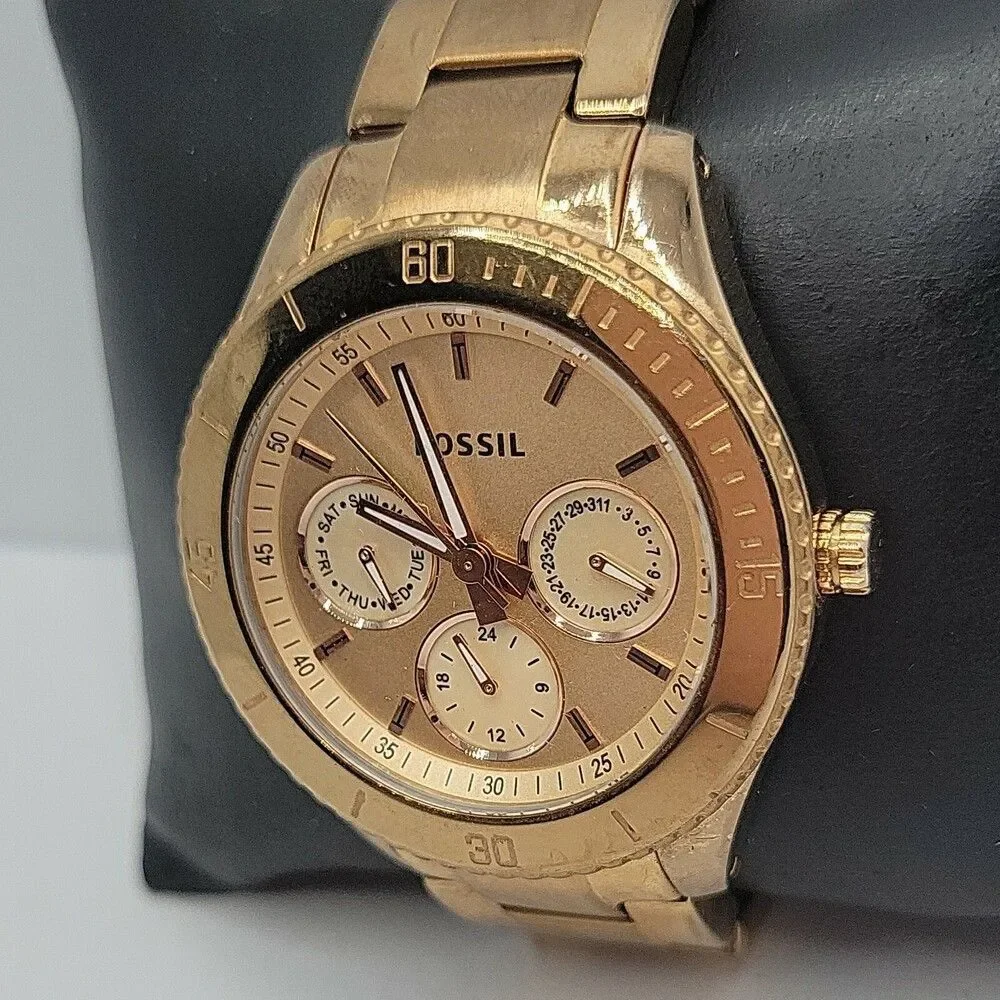 Fossil stella es2859